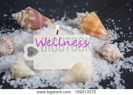 Shell with candle light and empty tag for wellness and relaxing concepts or massage advertising