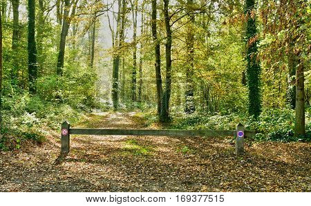 Verneuil sur Seine; France - october 30 2016 : the forest in the west of the city