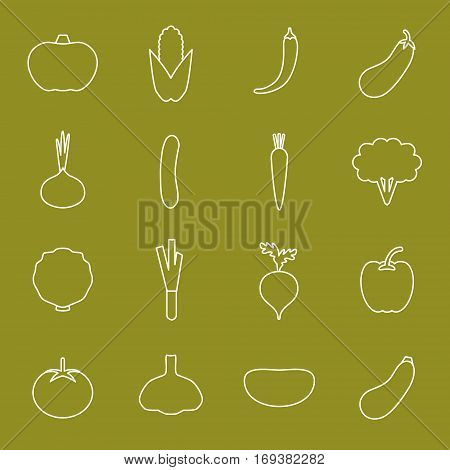 Vector vegetable line icons. Beet paprika onion eggplant broccoli tomato carrot potato and more.