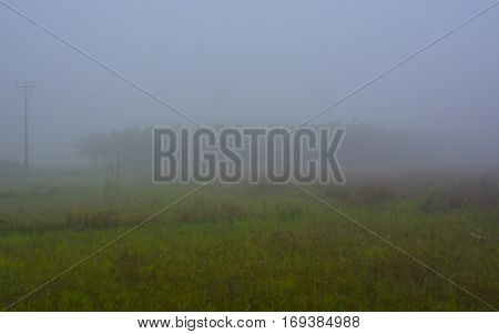 A misty foggy morning in a village