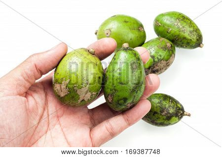 Makok (hog Plums)