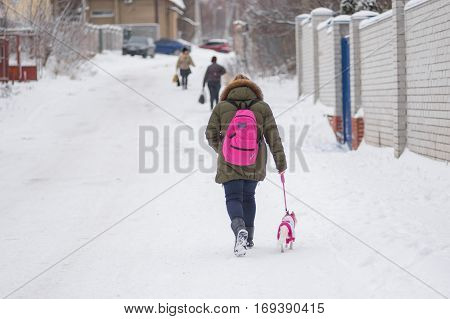 DNEPR UKRAINE - DECEMBER 03 2016:Schoolgirl walking with small dog on a snowy street in Dnepr Ukraine at December 03, 2016