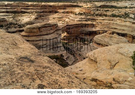 A beautiful view of the Natural Bridges National Park.