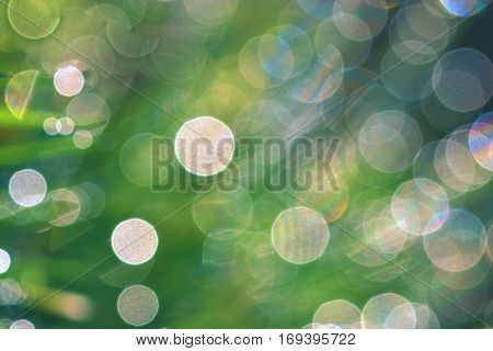 Spring. Beautiful natural background of green grass with dew and water drops. Seasonal concept - morning in nature.