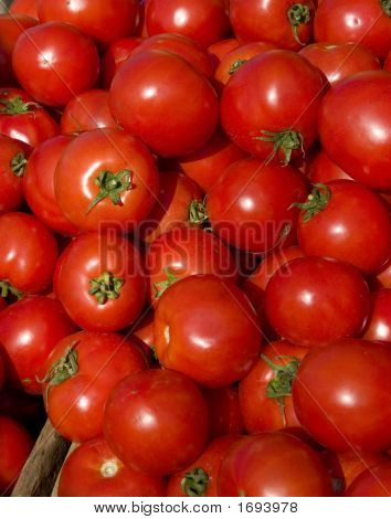 Pomodori