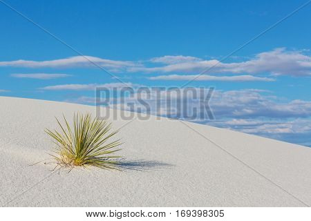 Unusual White Sand Dunes at White Sands National Monument, New Mexico, USA