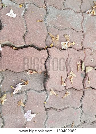 Pink flowers on concrete brick floor as background