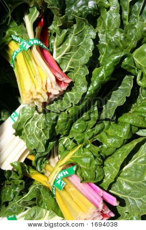 Chard