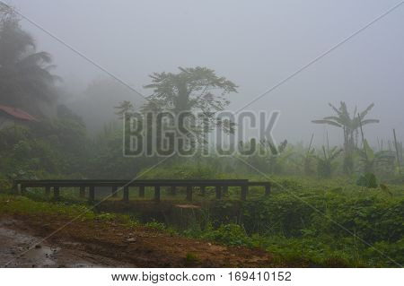 A misty foggy morning in a village
