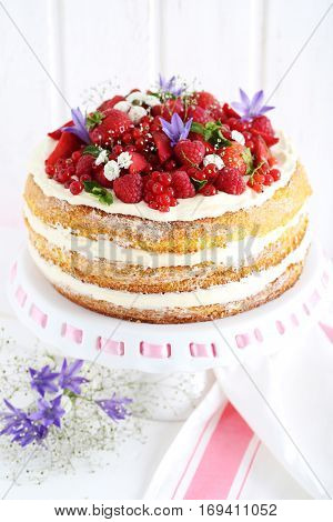 Delicious biscuit cake with berries on cake stand