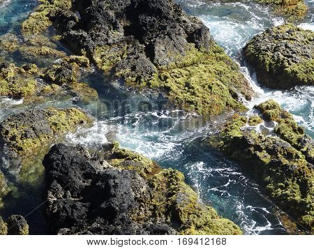 Landscape of the islanders of Formigas, Azores, Portugal