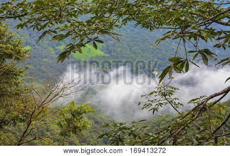 Beauty of wayanad ghats Kerala, South India