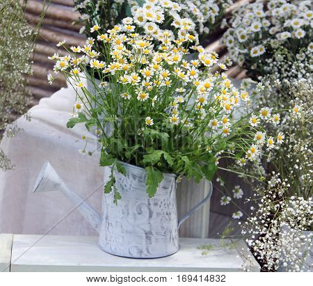 Bouquet of white wildflowers (Chamomiles) on table