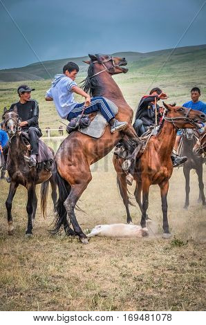Frightened Horse In Kyrgyzstan