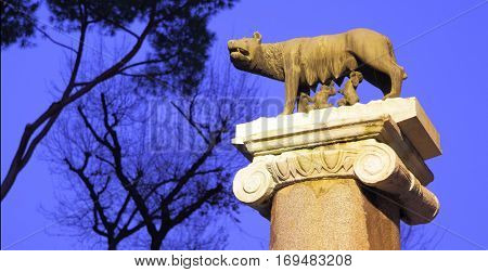 Statue of Romulus and Remus in Rome -- copyspace composition