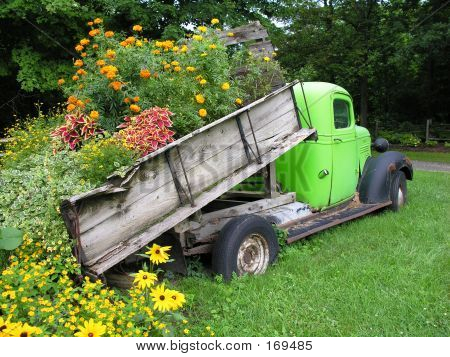 Blomster i gamle lastbil