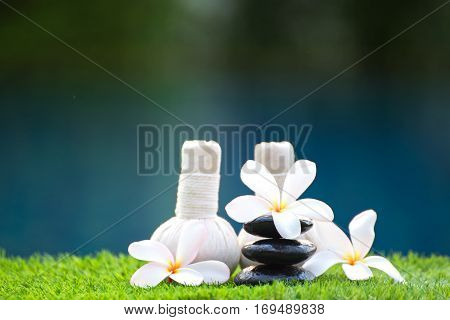 Spa treatment and product with flowers and water select and soft focus; Spa herbal compressing ball white frangipani flowers Thailand. soft and select focus Greenery tone 2017.