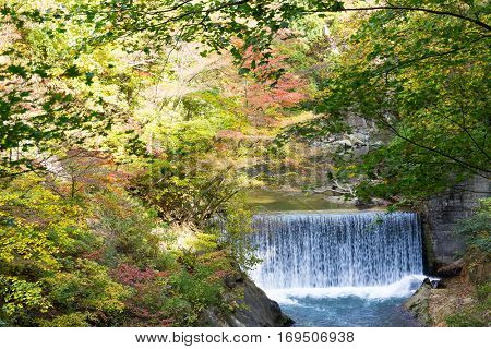 Autumn forest and waterfall