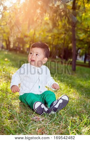 A Small Asian Child Plays In The Park Sitting On The Grass