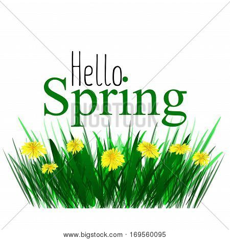 Yellow dandelions tsety. Spring sun vector illustration