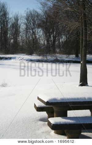 Vinter Scene i parken