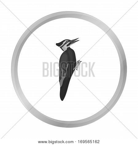 Woodpecker icon in monochrome style isolated on white background. Bird symbol vector illustration.