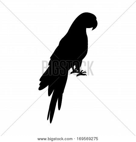 Ara parrot vector. Birds of Amazonian forests in black color. Fauna of South America. Beautiful Ara parrot posters, childrens books illustrating. Isolated on white.