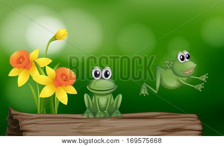 Two green frogs on the log illustration
