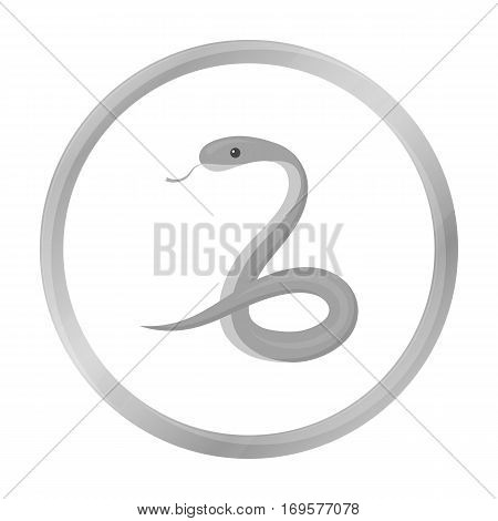 Snake icon monochrome. Singe animal icon from the big animals monochrome.