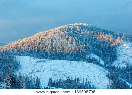 Evening Winter Ukrainian Carpathian Mountains Landscape.