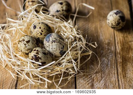 Quail eggs in a straw nest on wood background, kinfolk style, Easter, farming, country life concept