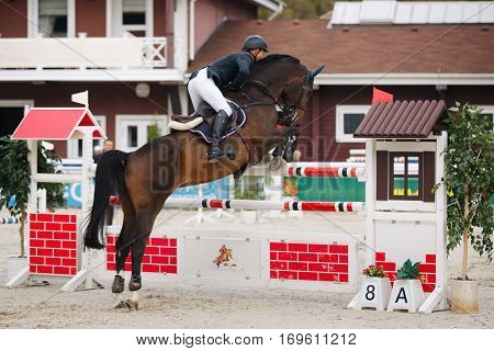 Competition jumping horse through an obstacle. Beautiful and graceful sport.