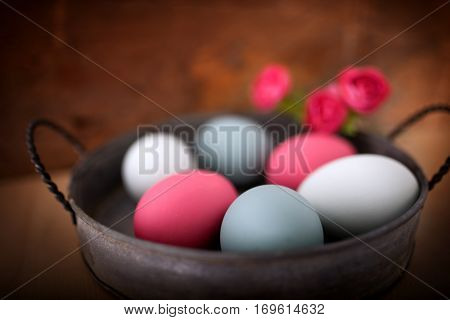 Close up with colorful eggs in front of a wooden background for a happy easter celebration
