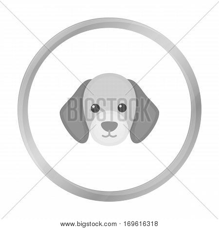 Dog muzzle vector illustration icon in monochrome design