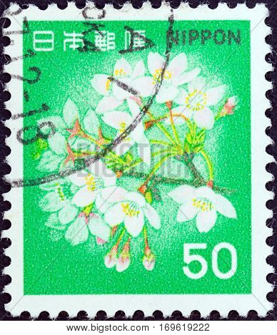 JAPAN - CIRCA 1980: A stamp printed in Japan shows flowering cherry, circa 1980.