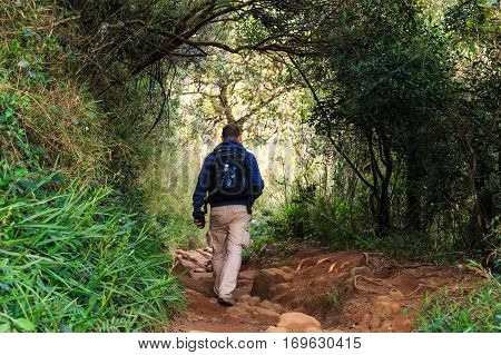 Hiker and wildlife photographer walking thtough tropical forest in Sri Lanka