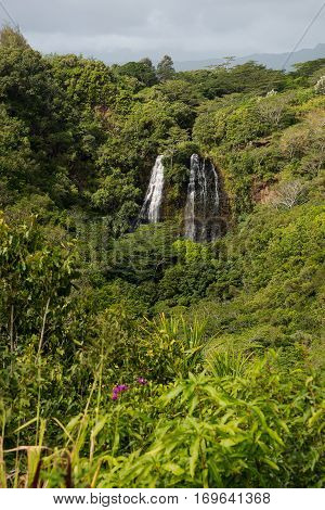 'Opaeka'a Falls on the eastern side of the Hawaiian island of Kaua'i.