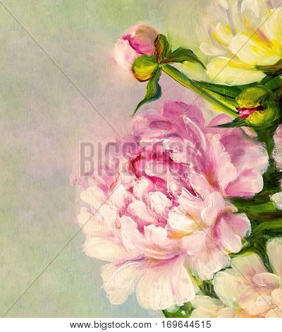 Pink and white peony background. Oil painting floral texture