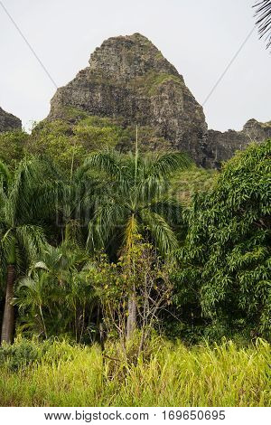 Kalalea Mountain in Anahola on  Kaua'i island Hawai'i
