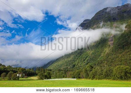 Row of plastic wrapped hay bales on a field with country house in background in Central Norway