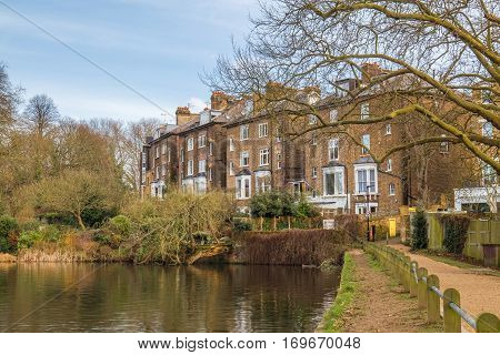 Luxury typical brick british houses with gardens in front of a lake with a fallen tree into the water.