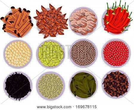 Spices Set collection of cinnamon quills feverfew nutmeg bay leaf cardamom vanilla pink white pepper mustard hot chili clove star anise healthy food concept for breakfast lunch and dinner meals