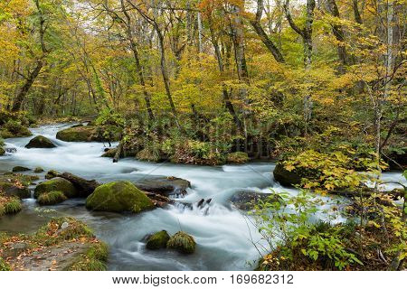 Oirase mountain stream in towada