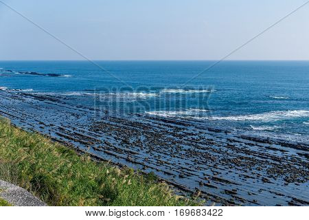 Aoshima Island coast