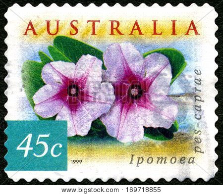 AUSTRALIA - CIRCA 2003: A used postage stamp from Australia depicting an image of a Ipomoea flower circa 2003.