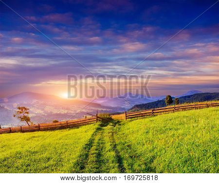 Mountain summer landscape. High grass and cloudy sky. A clear, Sunny day