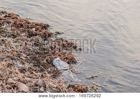 Pieces of tinfoil discarded in a local river laying next to the shore