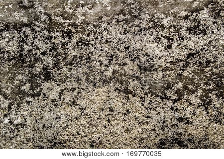 Abstract background of ice and snow, frazil, road texture