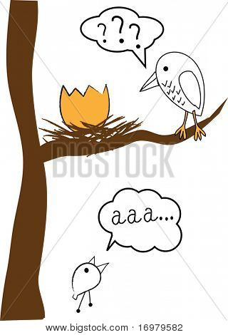 Famiglia di uccelli. Vector.