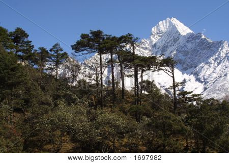 White Mountain Peak - Himálaj